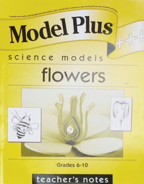Model Plus The Flower