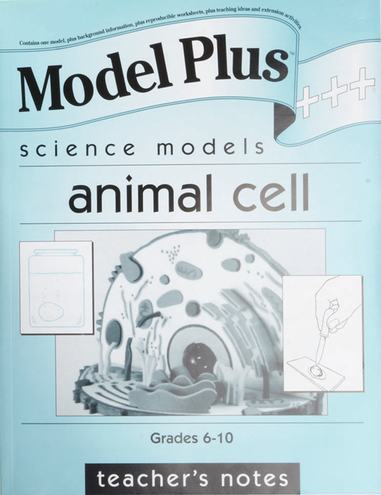 Model Plus The Animal Cell