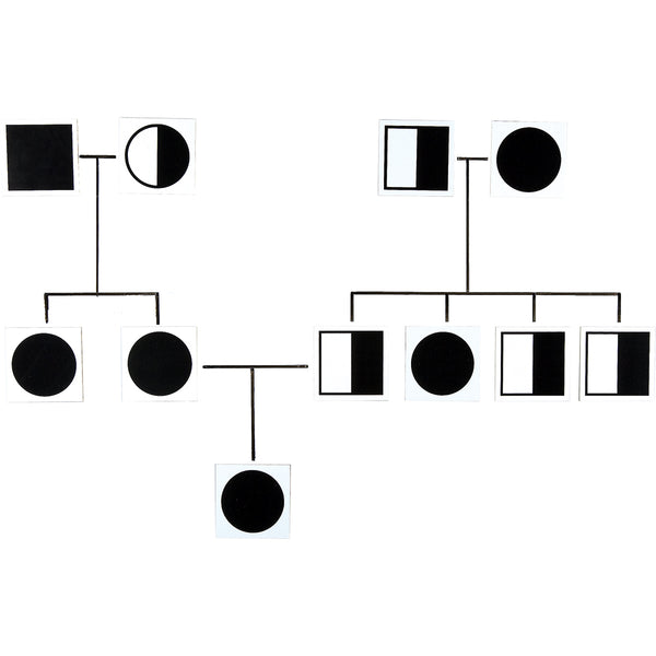 Stick to Science - Genetic Cards