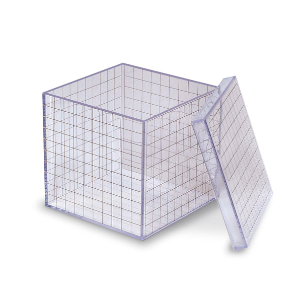 3D Grid Box