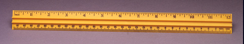 Metric Imperial Ruler