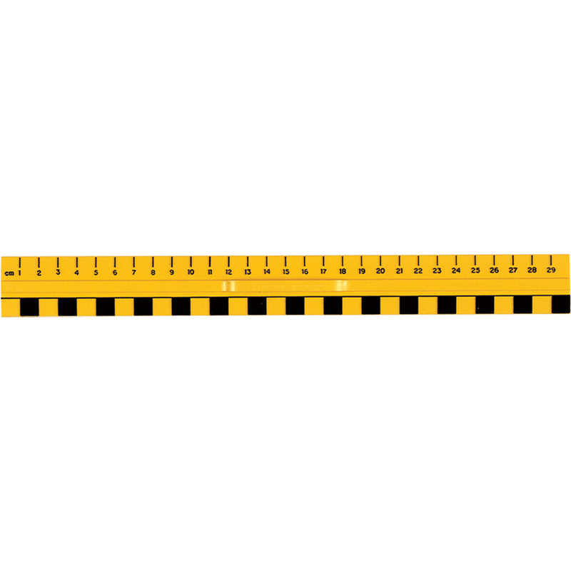 Primary Ruler - Set of 10