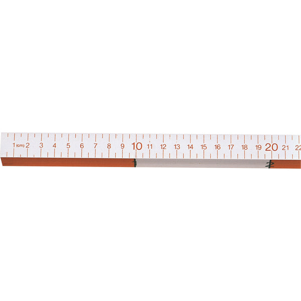 Teachers Meter Stick