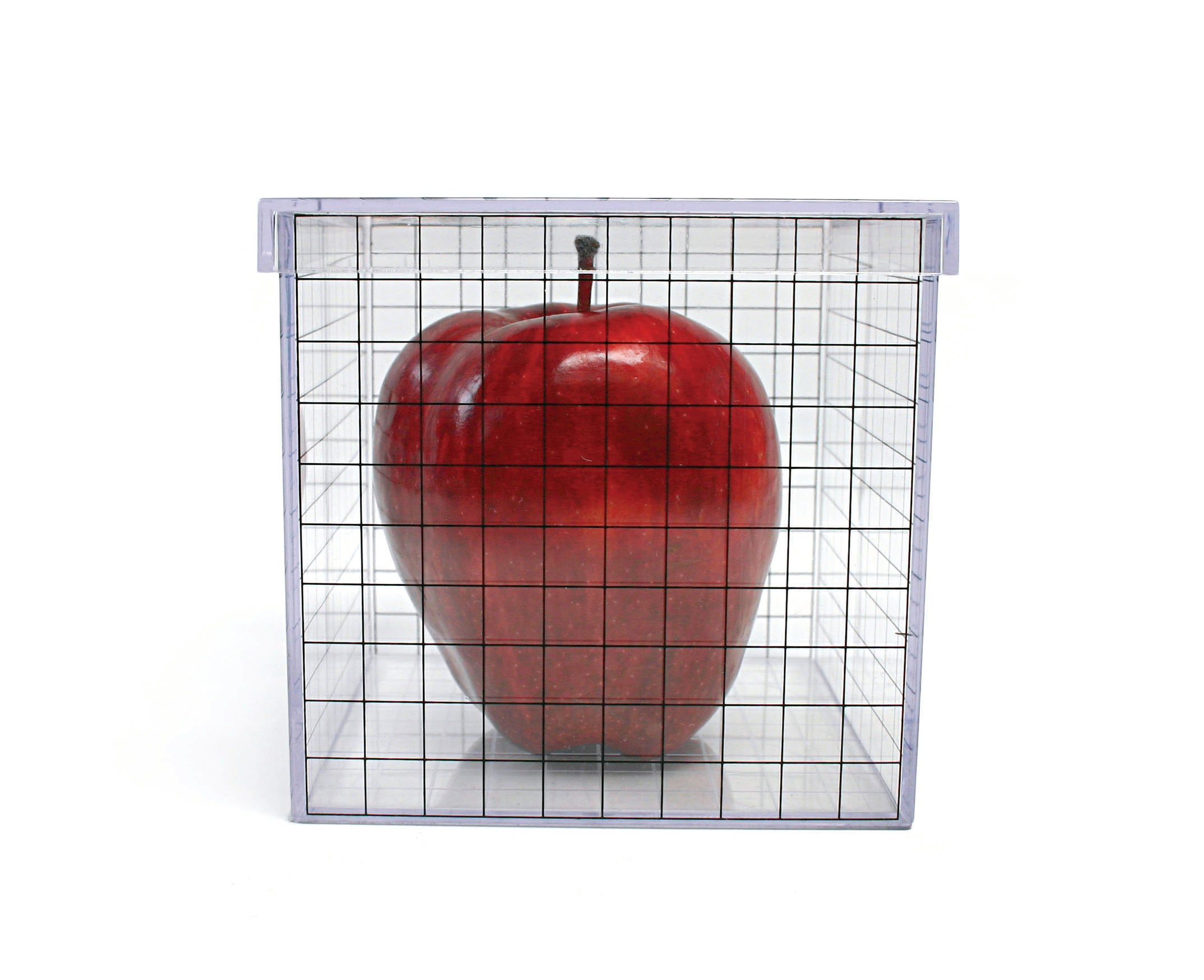 3D Grid Box