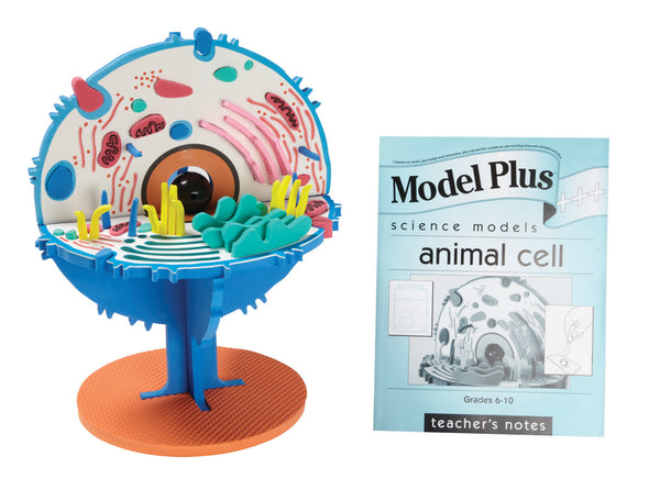 Model Plus The Animal Cell