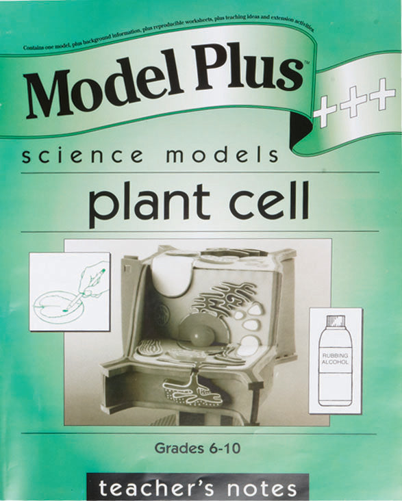 Model Plus The Plant Cell