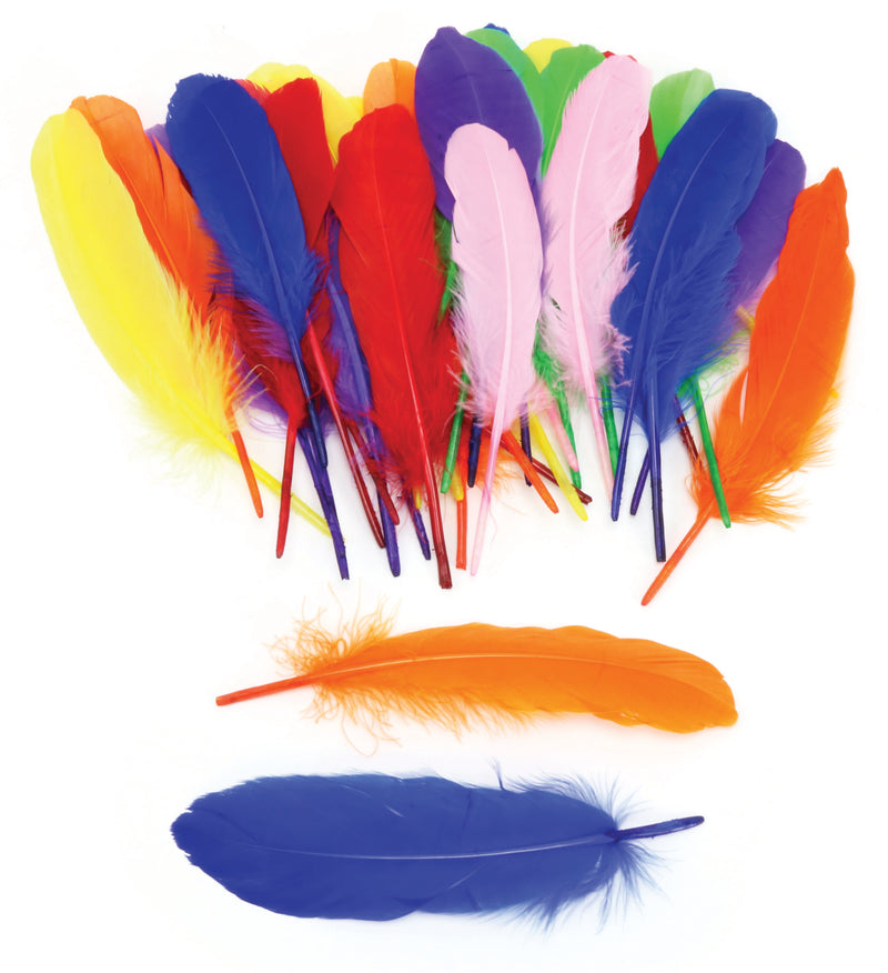 Giant Colourful Feathers - Set of 42